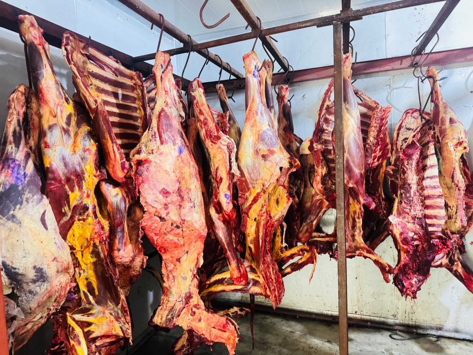 Câmara frigorífica — cadeia de frio
