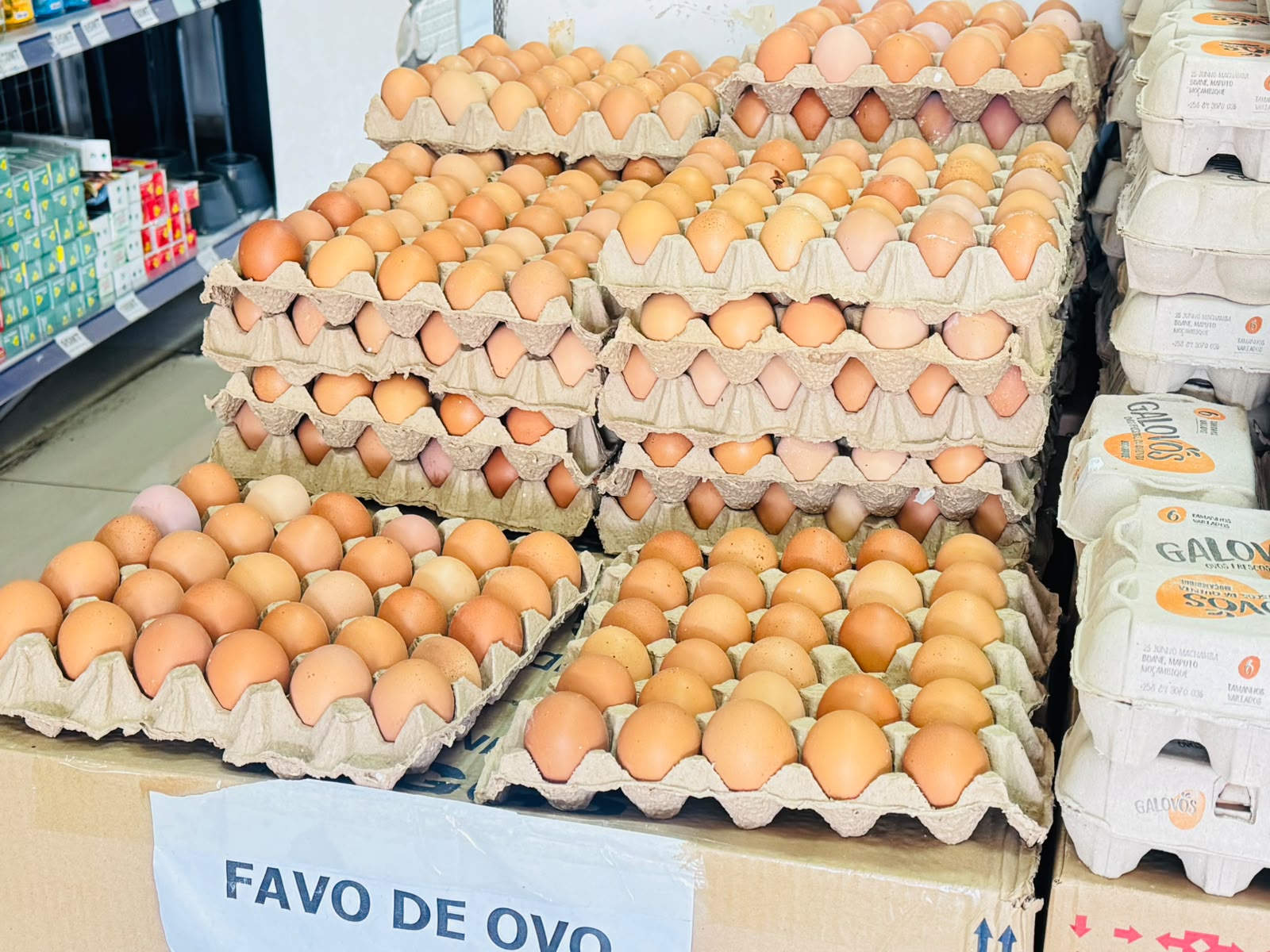 Laticínios e ovos
