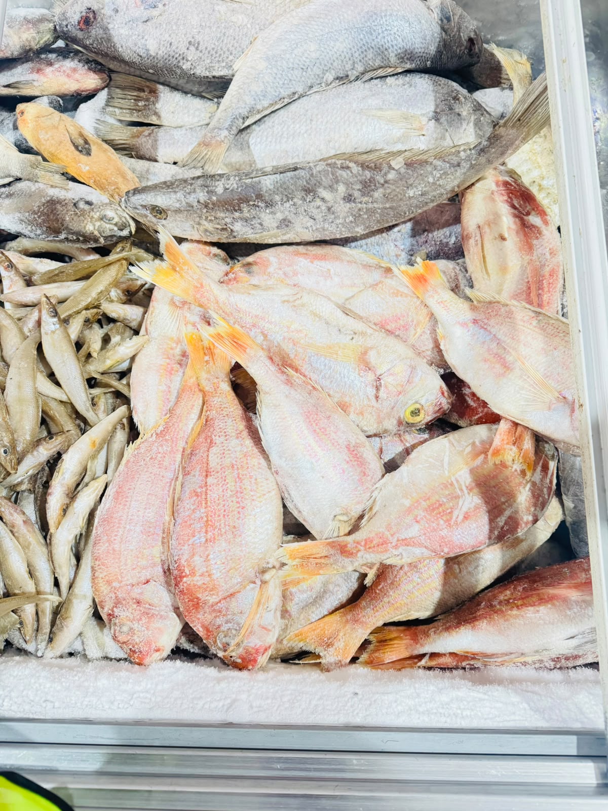 Peixe fresco (pescado vermelho)